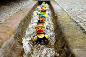 Rubber_Duck_Race