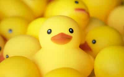2023 Rubber Duck Race