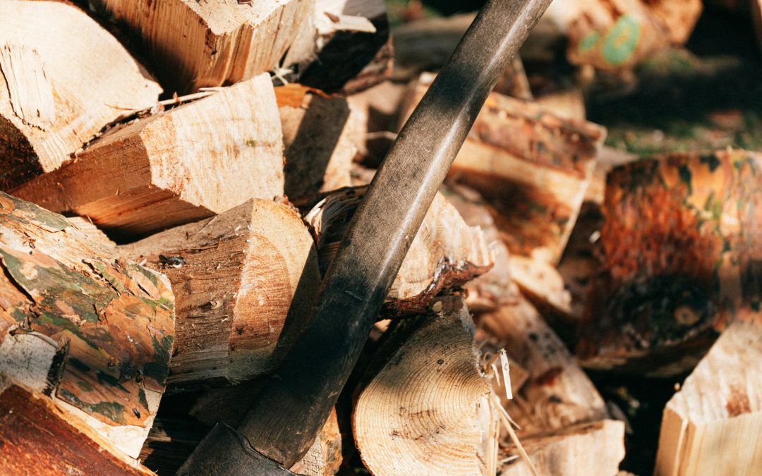 Valley County Chop with a Cop