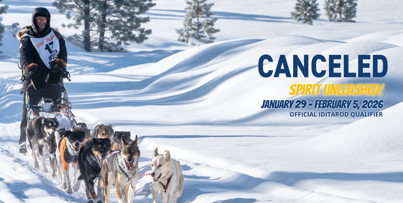 Dog Sled Race in Cascade, Idaho Canceled