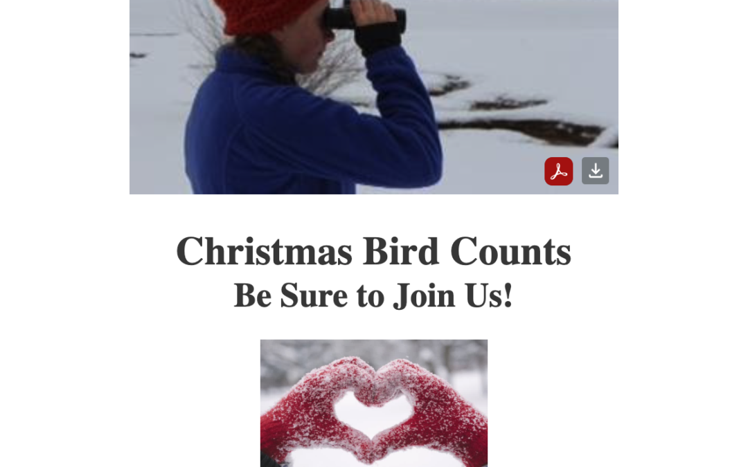 Cascade Christmas Bird Count
