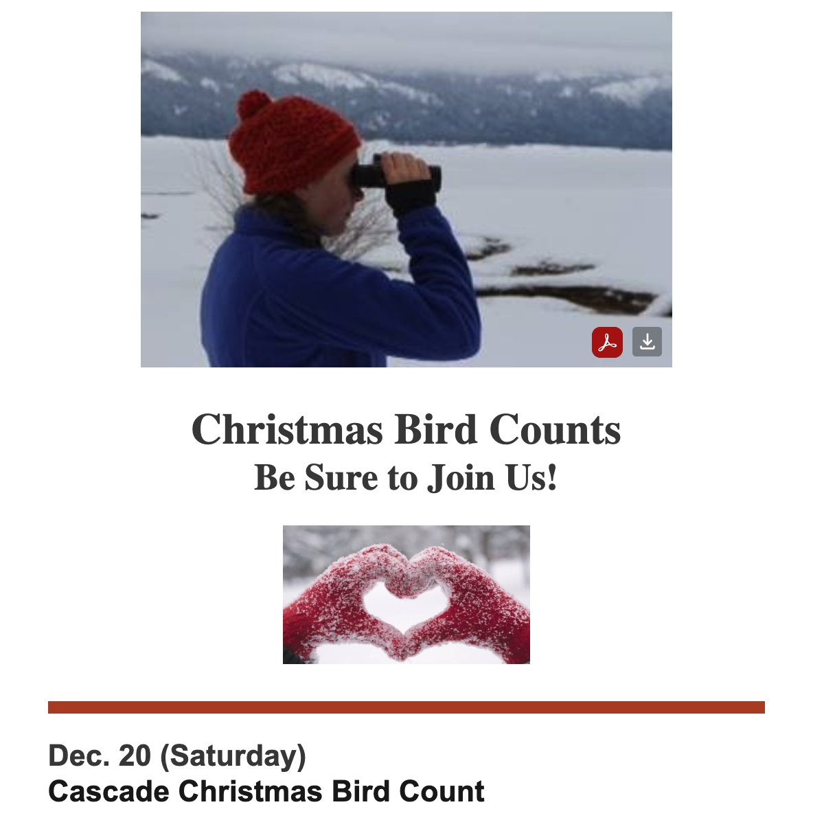 Christmas Bird Count in Cascade, Idaho