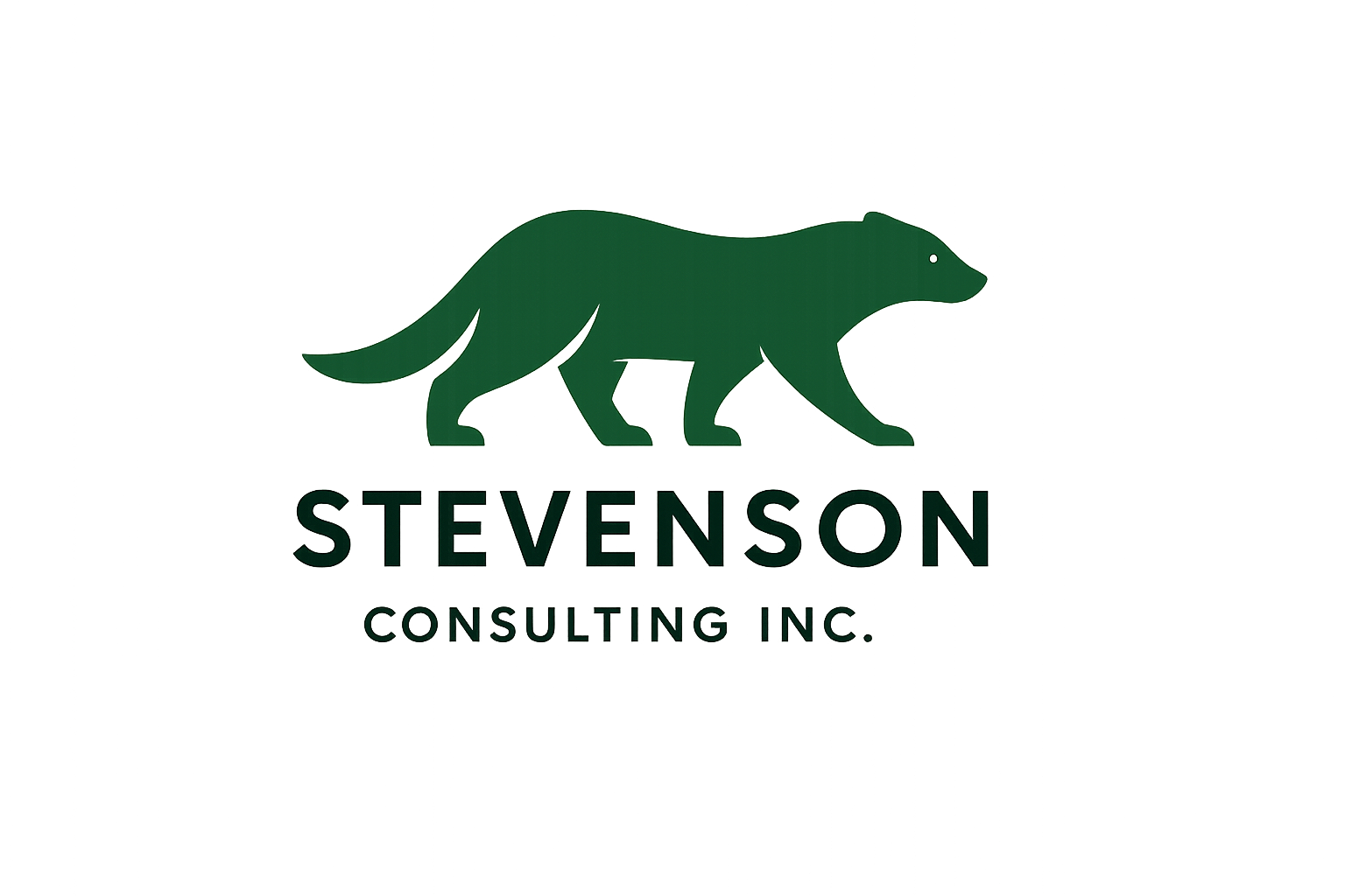StevensonConsultingLogo Stevenson Consulting in Cascade, Idaho