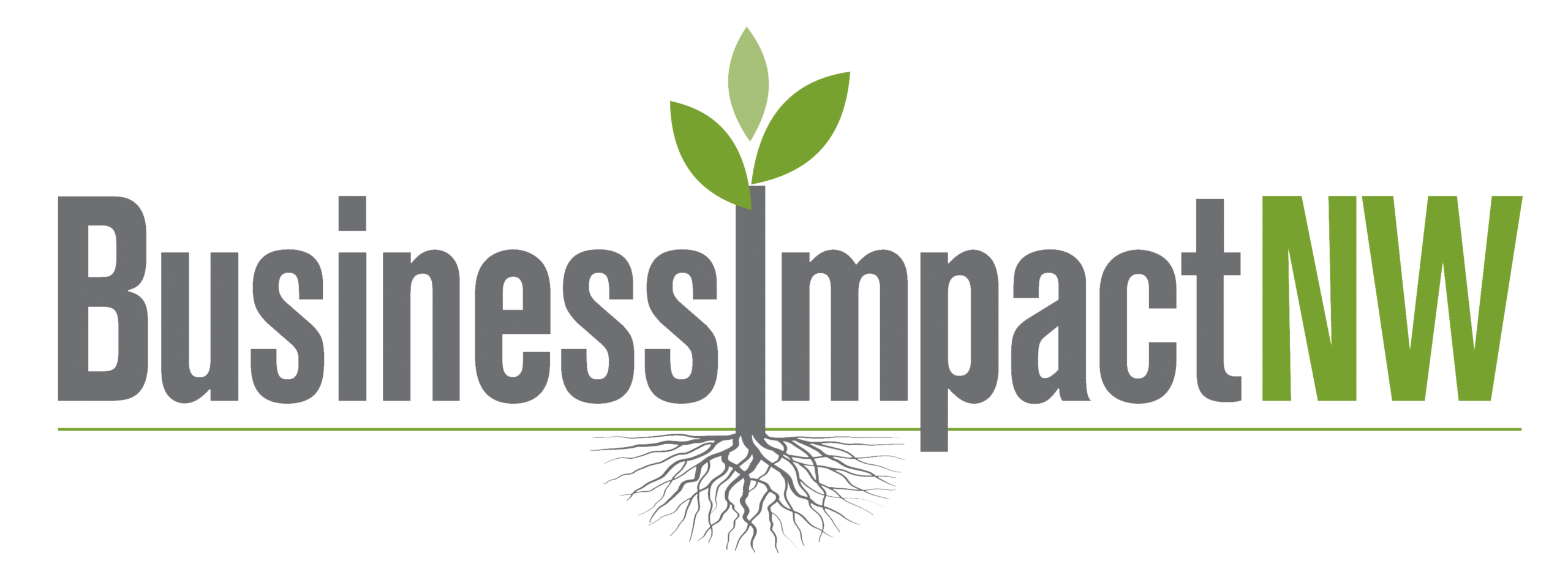 Idaho Business IMpact Northwest logo